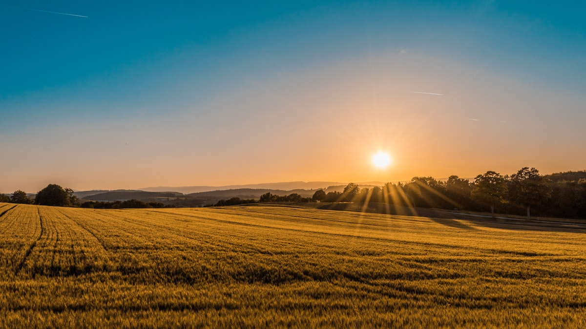 The future of agriculture