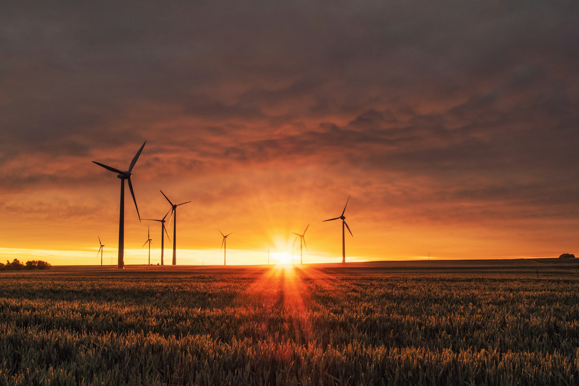 Field of wind turbines and solar panels under a clear Dutch sky